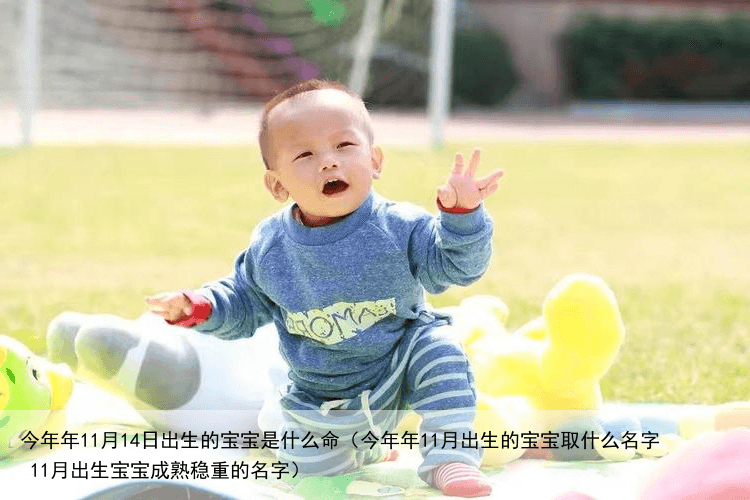 今年年11月14日出生的宝宝是什么命（今年年11月出生的宝宝取什么名字 11月出生宝宝成熟稳重的名字）