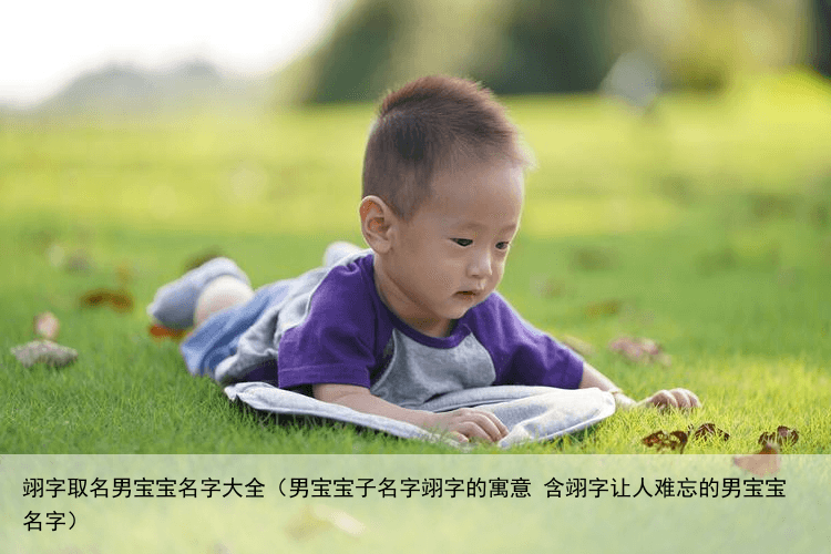 翊字取名男宝宝名字大全（男宝宝子名字翊字的寓意 含翊字让人难忘的男宝宝名字）
