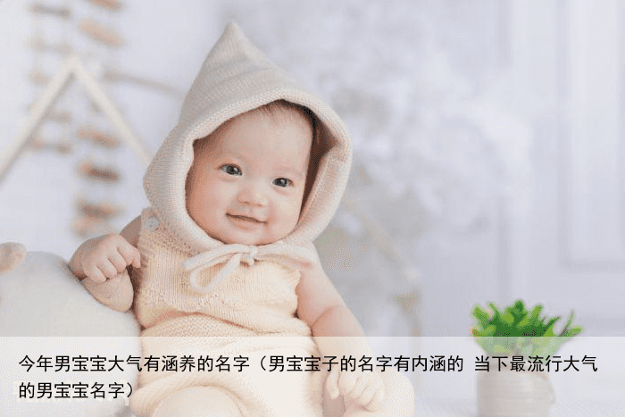 今年男宝宝大气有涵养的名字（男宝宝子的名字有内涵的 当下最流行大气的男宝宝名字）