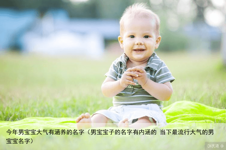 今年男宝宝大气有涵养的名字（男宝宝子的名字有内涵的 当下最流行大气的男宝宝名字）