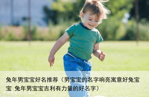 兔年男宝宝好名推荐（男宝宝的名字响亮寓意好兔宝宝 兔年男宝宝吉利有力量的好名字）