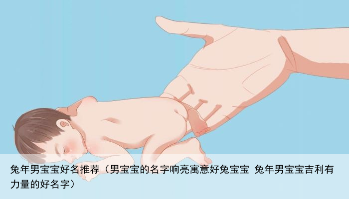 兔年男宝宝好名推荐（男宝宝的名字响亮寓意好兔宝宝 兔年男宝宝吉利有力量的好名字）