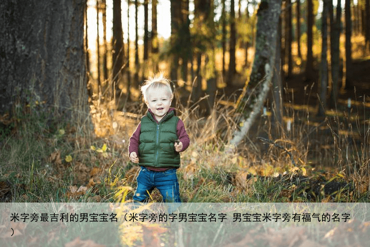 米字旁最吉利的男宝宝名（米字旁的字男宝宝名字 男宝宝米字旁有福气的名字）