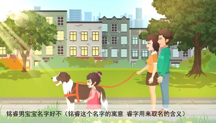 铭睿男宝宝名字好不（铭睿这个名字的寓意 睿字用来取名的含义）
