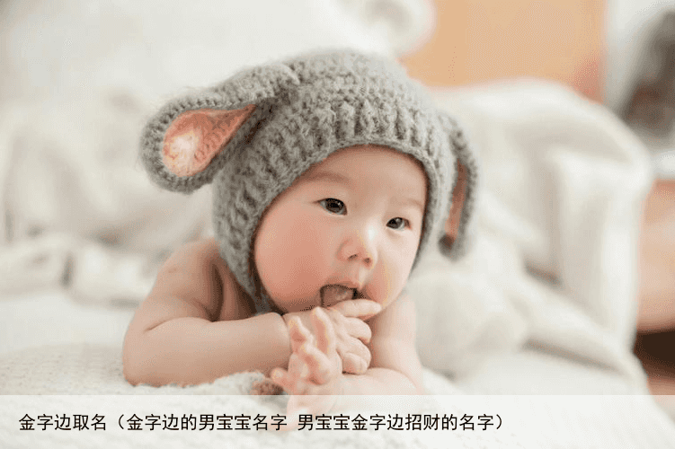 金字边取名（金字边的男宝宝名字 男宝宝金字边招财的名字）