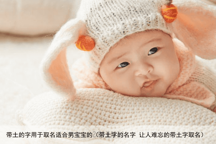 带土的字用于取名适合男宝宝的（带土字的名字 让人难忘的带土字取名）