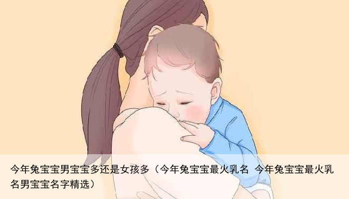 今年兔宝宝男宝宝多还是女孩多（今年兔宝宝最火乳名 今年兔宝宝最火乳名男宝宝名字精选）