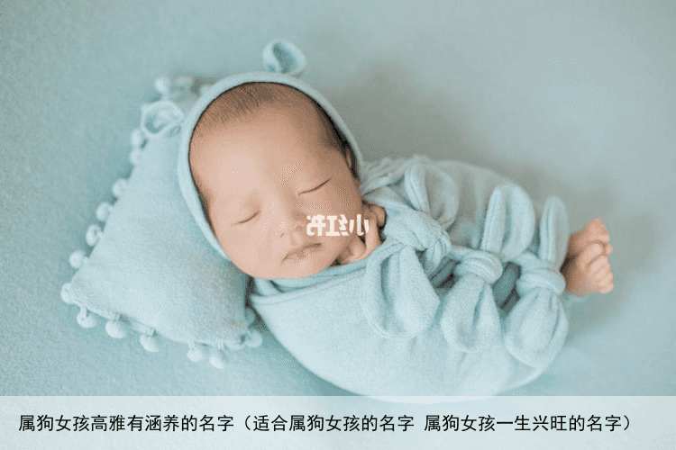 属狗女孩高雅有涵养的名字（适合属狗女孩的名字 属狗女孩一生兴旺的名字）