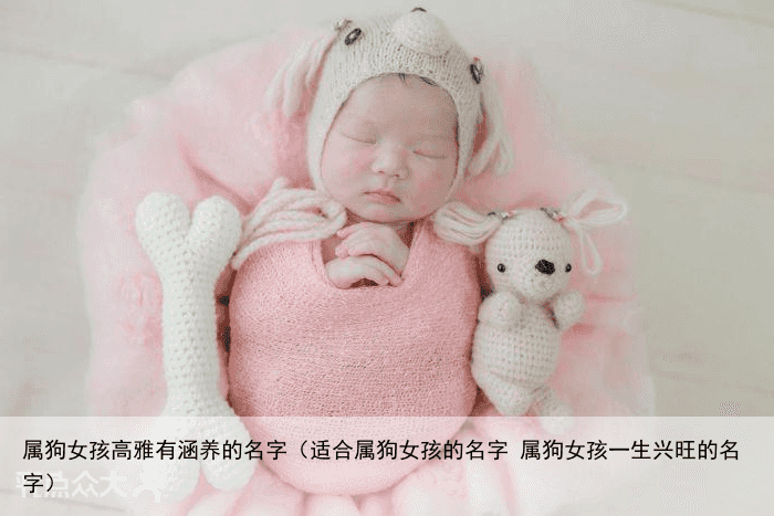 属狗女孩高雅有涵养的名字（适合属狗女孩的名字 属狗女孩一生兴旺的名字）