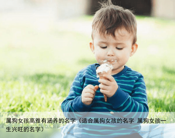 属狗女孩高雅有涵养的名字（适合属狗女孩的名字 属狗女孩一生兴旺的名字）