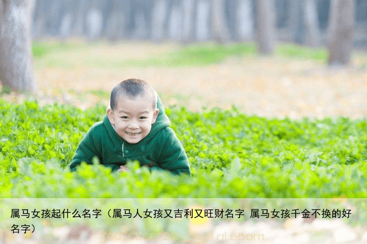 属马女孩起什么名字（属马人女孩又吉利又旺财名字 属马女孩千金不换的好名字）