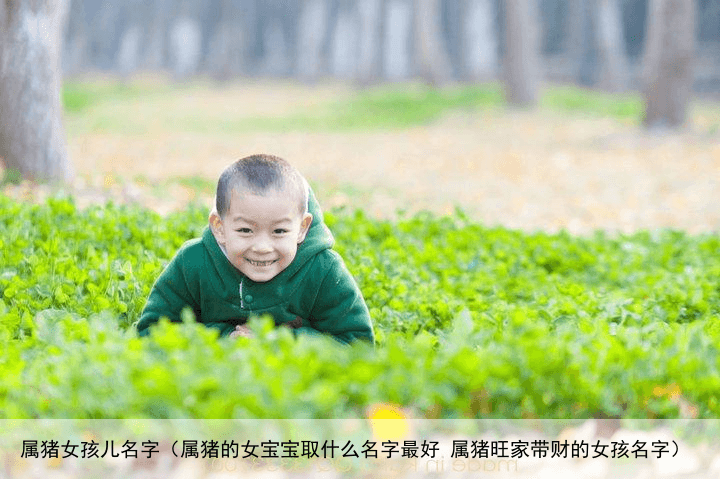 属猪女孩儿名字（属猪的女宝宝取什么名字最好 属猪旺家带财的女孩名字）