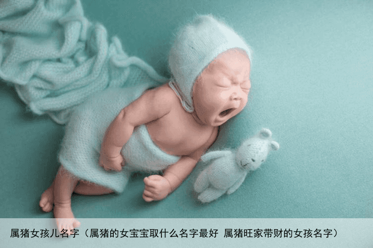 属猪女孩儿名字（属猪的女宝宝取什么名字最好 属猪旺家带财的女孩名字）