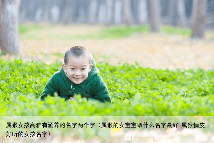 属猴女孩高雅有涵养的名字两个字（属猴的女宝宝取什么名字最好 属猴俏皮好听的女孩名字）
