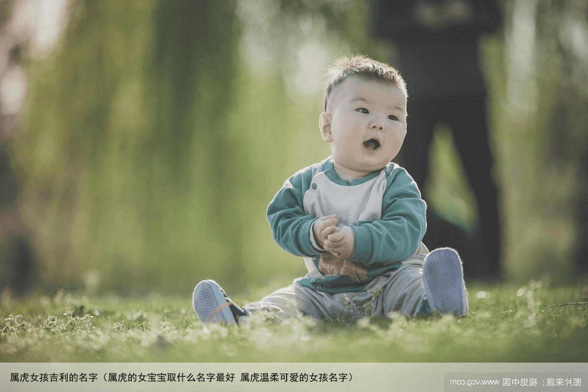 属虎女孩吉利的名字（属虎的女宝宝取什么名字最好 属虎温柔可爱的女孩名字）