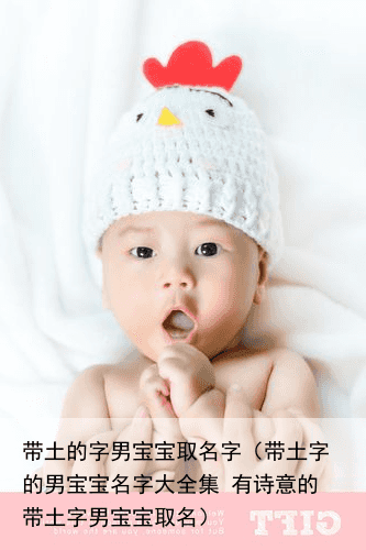 带土的字男宝宝取名字（带土字的男宝宝名字大全集 有诗意的带土字男宝宝取名）
