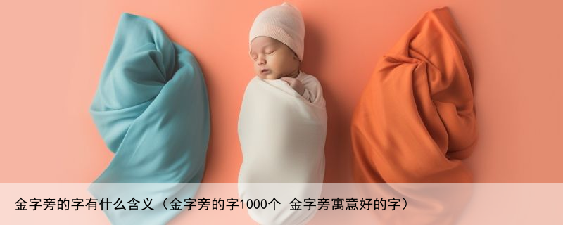 金字旁的字有什么含义（金字旁的字1000个 金字旁寓意好的字）