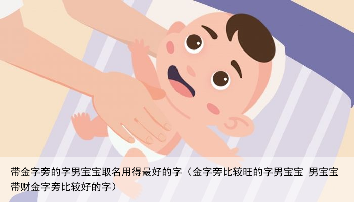 带金字旁的字男宝宝取名用得最好的字（金字旁比较旺的字男宝宝 男宝宝带财金字旁比较好的字）