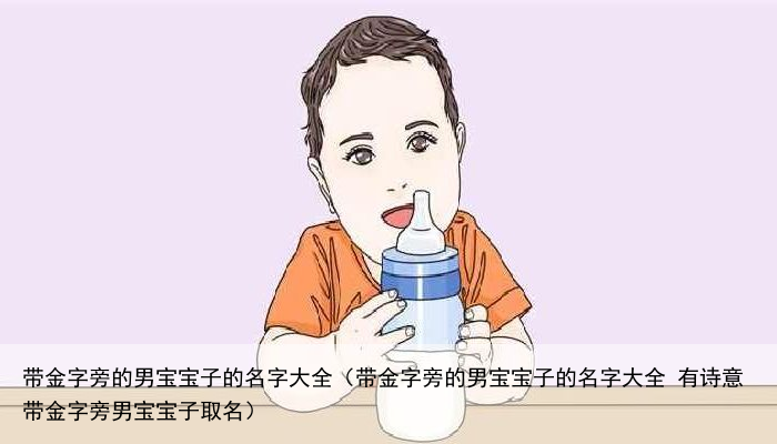 带金字旁的男宝宝子的名字大全（带金字旁的男宝宝子的名字大全 有诗意带金字旁男宝宝子取名）