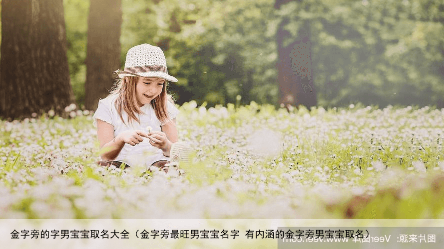 金字旁的字男宝宝取名大全（金字旁最旺男宝宝名字 有内涵的金字旁男宝宝取名）