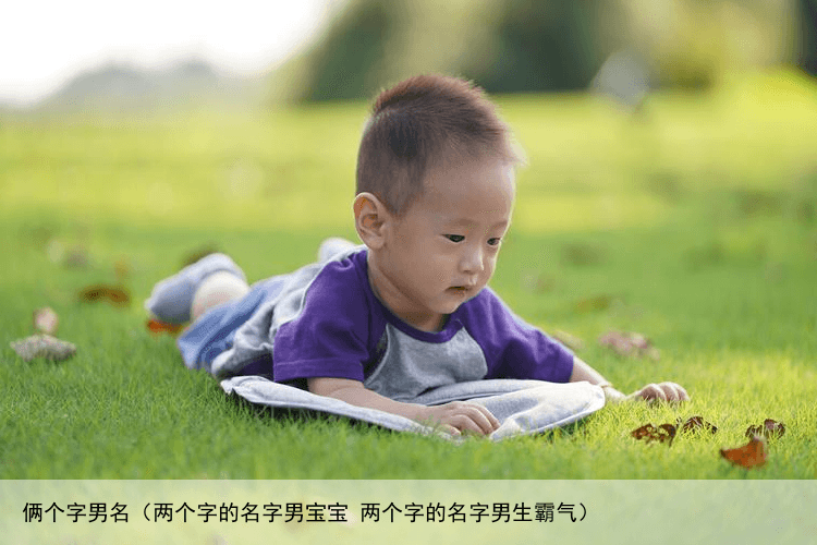 俩个字男名（两个字的名字男宝宝 两个字的名字男生霸气）