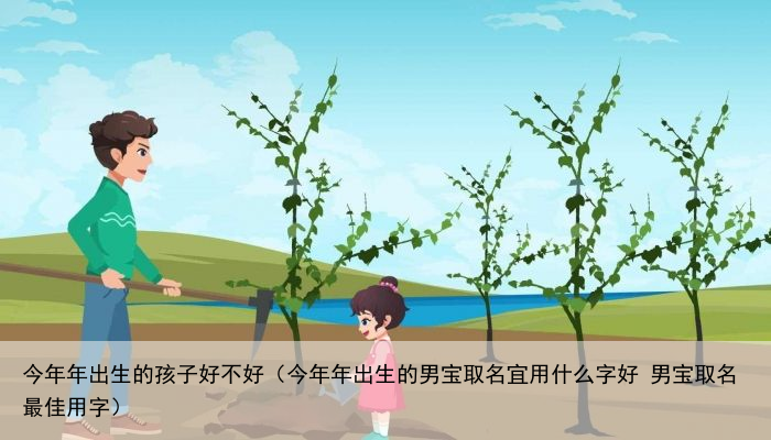 今年年出生的孩子好不好（今年年出生的男宝取名宜用什么字好 男宝取名最佳用字）