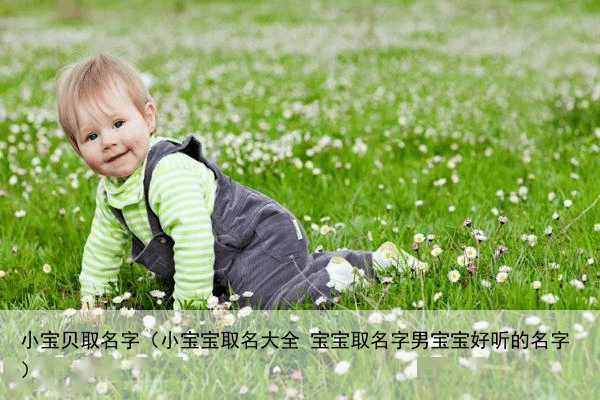 小宝贝取名字（小宝宝取名大全 宝宝取名字男宝宝好听的名字）