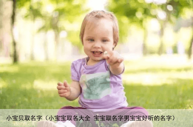 小宝贝取名字（小宝宝取名大全 宝宝取名字男宝宝好听的名字）
