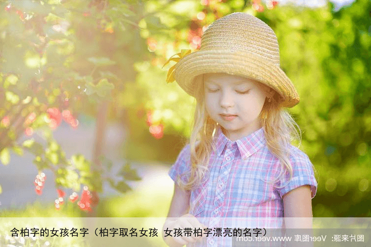 含柏字的女孩名字（柏字取名女孩 女孩带柏字漂亮的名字）