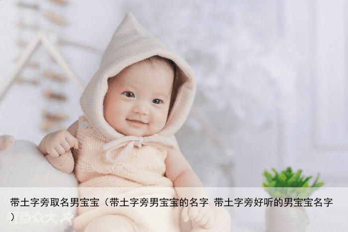 带土字旁取名男宝宝（带土字旁男宝宝的名字 带土字旁好听的男宝宝名字）
