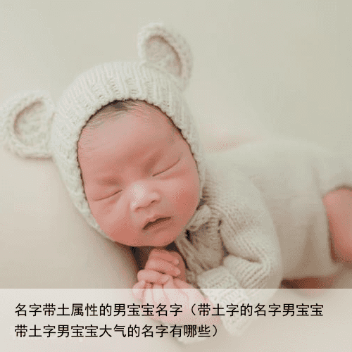 名字带土属性的男宝宝名字（带土字的名字男宝宝 带土字男宝宝大气的名字有哪些）