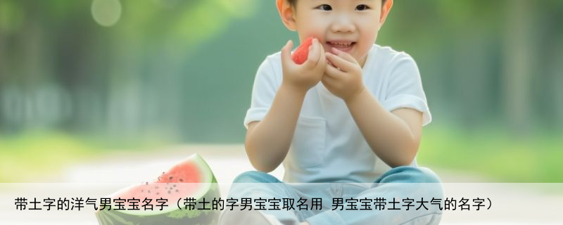 带土字的洋气男宝宝名字（带土的字男宝宝取名用 男宝宝带土字大气的名字）