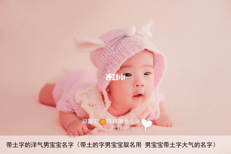 带土字的洋气男宝宝名字（带土的字男宝宝取名用 男宝宝带土字大气的名字）