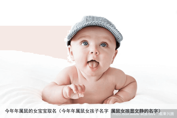 今年年属鼠的女宝宝取名（今年年属鼠女孩子名字 属鼠女孩显文静的名字）