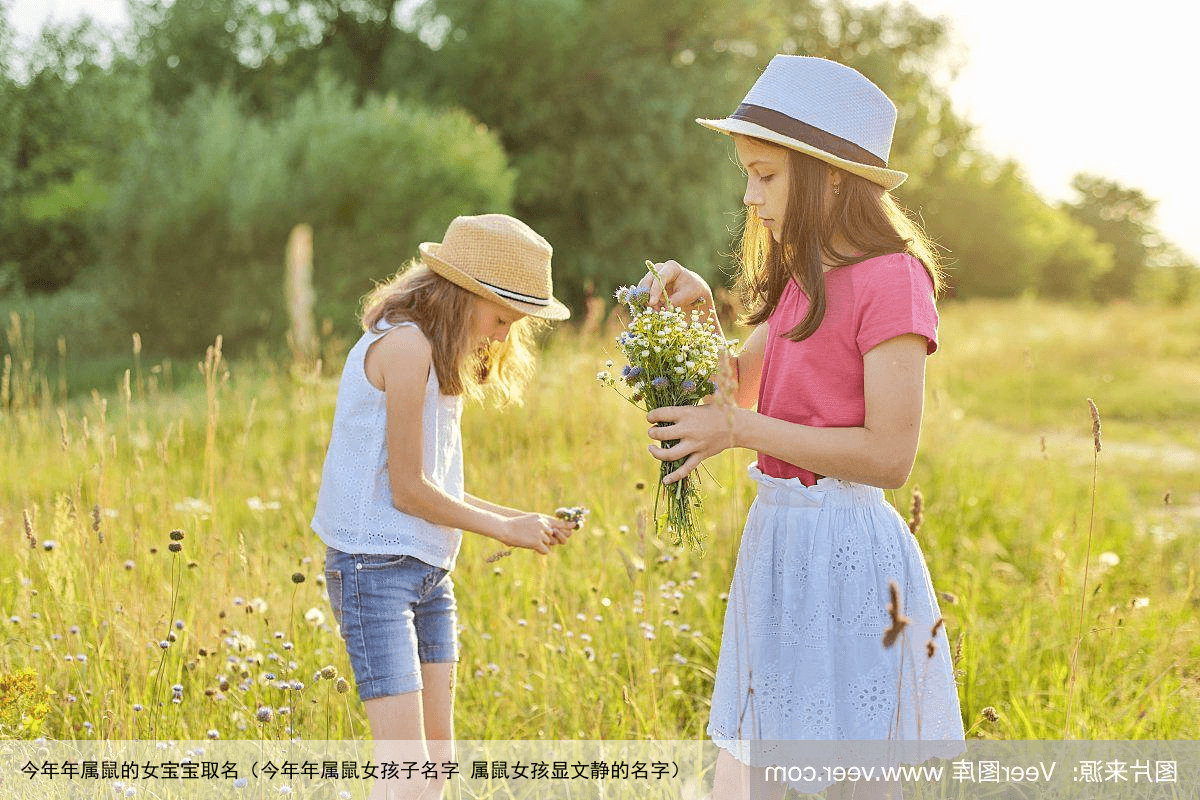 今年年属鼠的女宝宝取名（今年年属鼠女孩子名字 属鼠女孩显文静的名字）