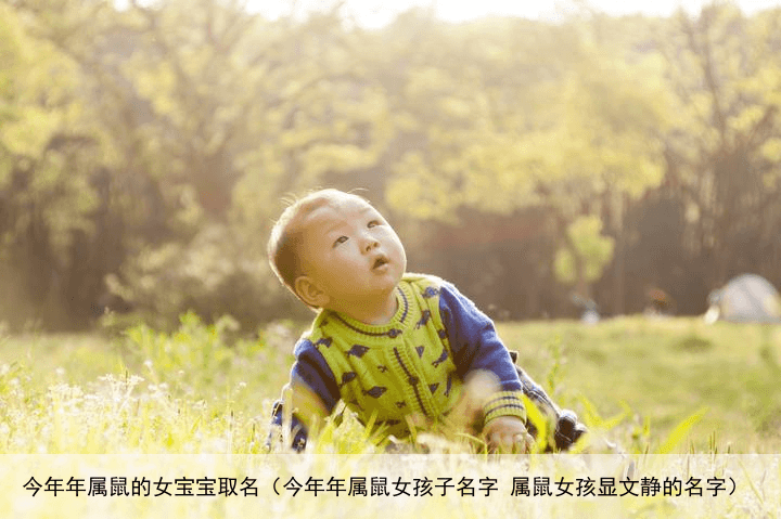 今年年属鼠的女宝宝取名（今年年属鼠女孩子名字 属鼠女孩显文静的名字）
