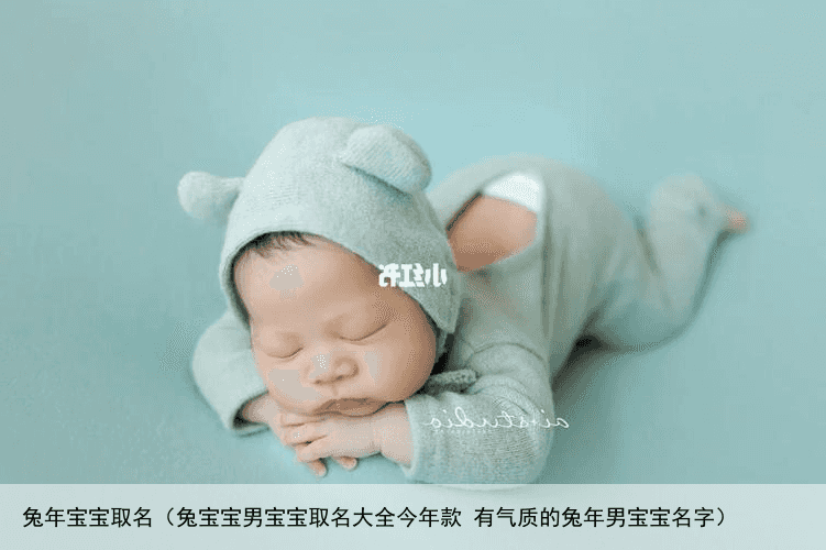 兔年宝宝取名（兔宝宝男宝宝取名大全今年款 有气质的兔年男宝宝名字）