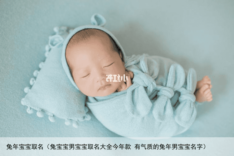 兔年宝宝取名（兔宝宝男宝宝取名大全今年款 有气质的兔年男宝宝名字）
