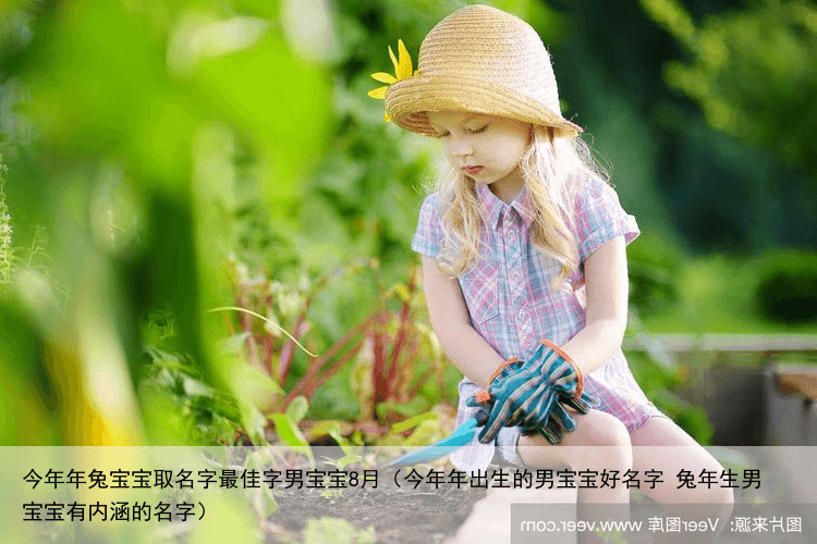 今年年兔宝宝取名字最佳字男宝宝8月（今年年出生的男宝宝好名字 兔年生男宝宝有内涵的名字）