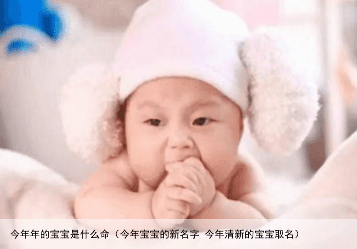 今年年的宝宝是什么命（今年宝宝的新名字 今年清新的宝宝取名）