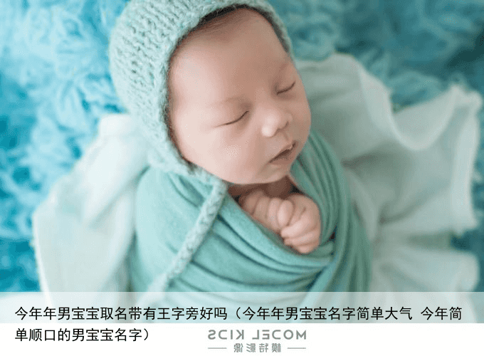 今年年男宝宝取名带有王字旁好吗（今年年男宝宝名字简单大气 今年简单顺口的男宝宝名字）