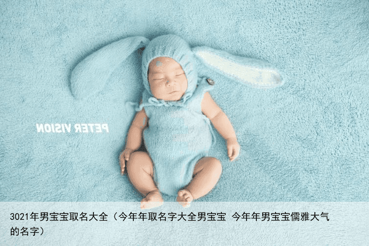 3021年男宝宝取名大全（今年年取名字大全男宝宝 今年年男宝宝儒雅大气的名字）