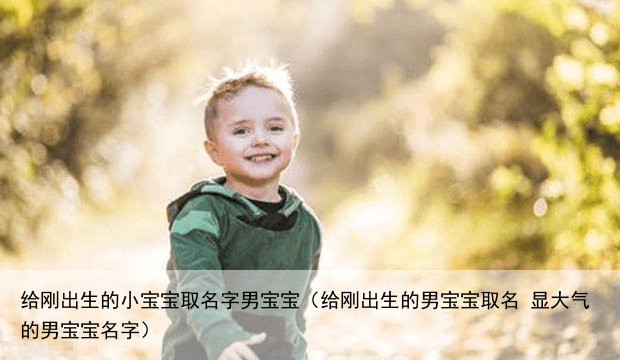 给刚出生的小宝宝取名字男宝宝（给刚出生的男宝宝取名 显大气的男宝宝名字）