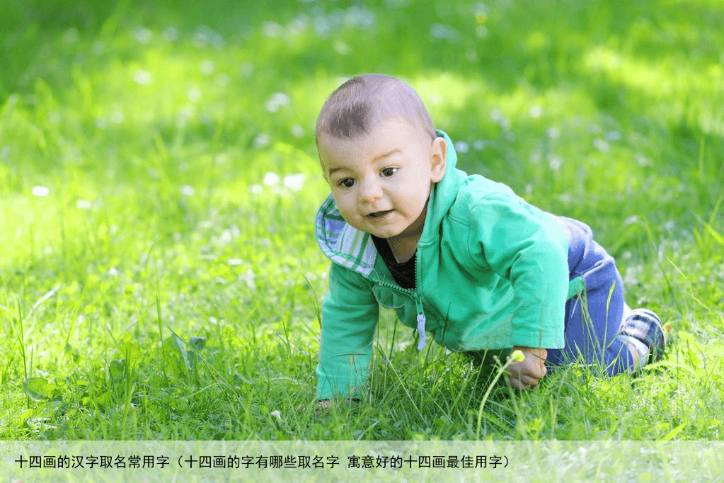 十四画的汉字取名常用字（十四画的字有哪些取名字 寓意好的十四画最佳用字）