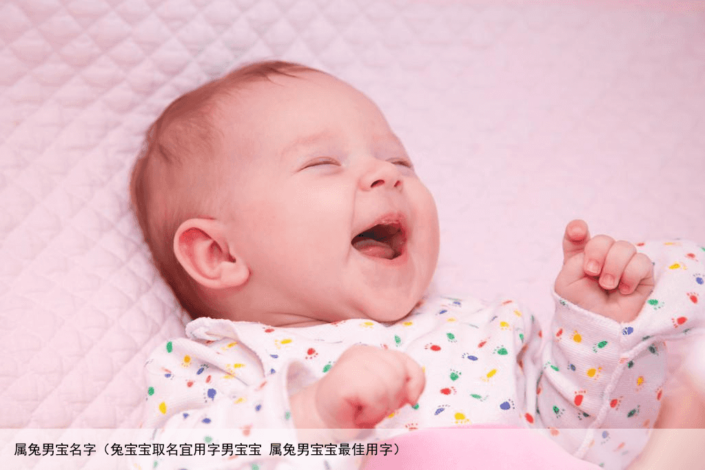属兔男宝名字（兔宝宝取名宜用字男宝宝 属兔男宝宝最佳用字）