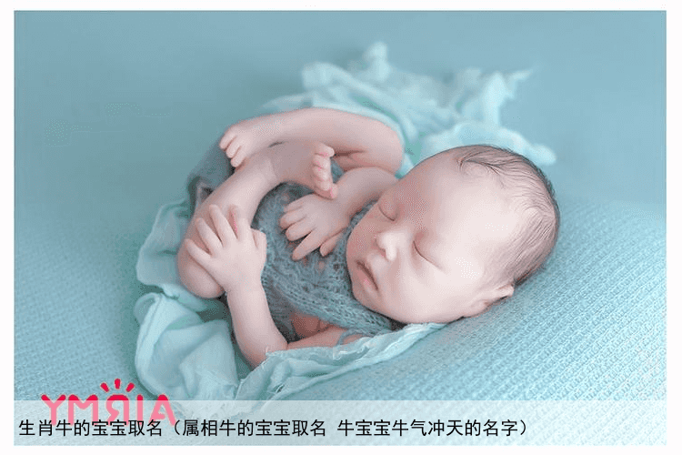 生肖牛的宝宝取名（属相牛的宝宝取名 牛宝宝牛气冲天的名字）