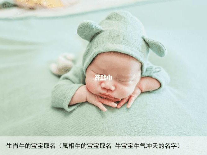 生肖牛的宝宝取名（属相牛的宝宝取名 牛宝宝牛气冲天的名字）