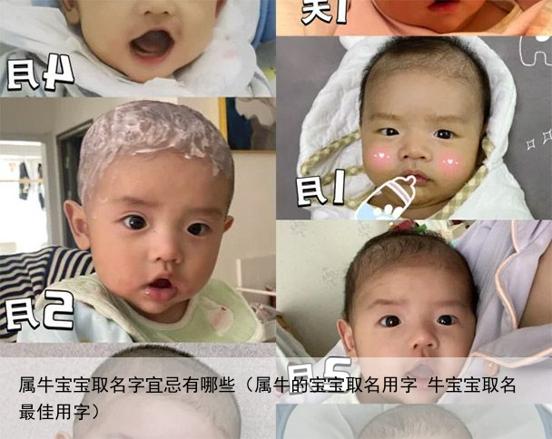 属牛宝宝取名字宜忌有哪些（属牛的宝宝取名用字 牛宝宝取名最佳用字）