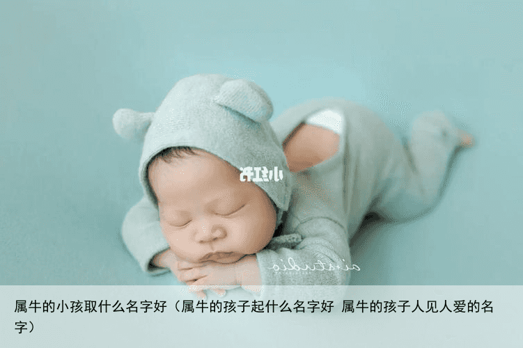 属牛的小孩取什么名字好（属牛的孩子起什么名字好 属牛的孩子人见人爱的名字）
