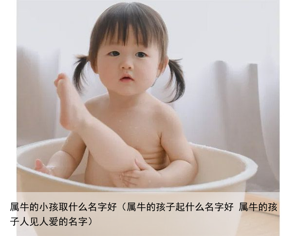属牛的小孩取什么名字好（属牛的孩子起什么名字好 属牛的孩子人见人爱的名字）